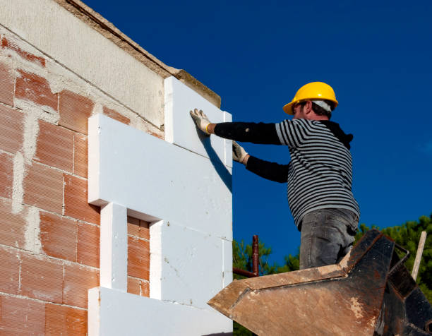 Best Wall Insulation Contractor  in Odessa, MO