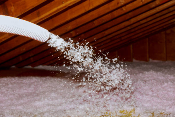 Best Insulation Removal  in Odessa, MO