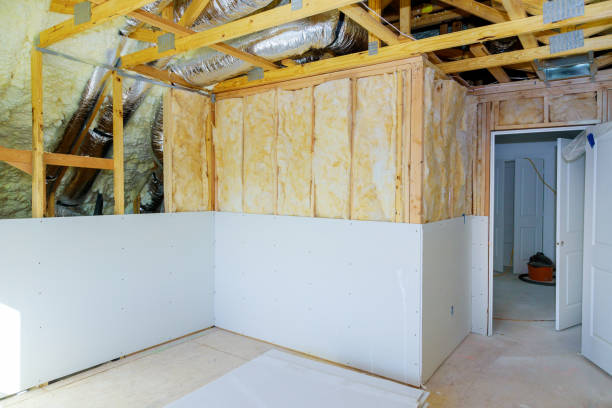 Best Attic Insulation Installation  in Odessa, MO