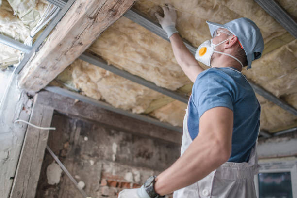Best Fiberglass Insulation  in Odessa, MO