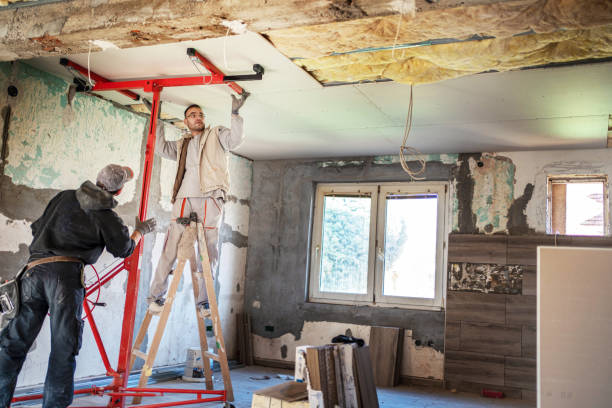 Best Insulation Removal  in Odessa, MO