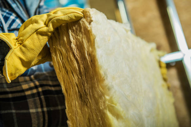 Best Insulation Inspection Services  in Odessa, MO