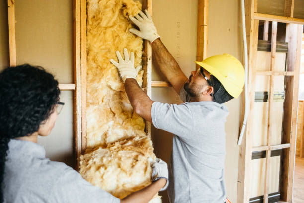 Best Home Insulation Services  in Odessa, MO