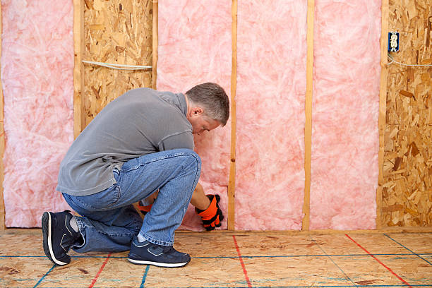 Best Attic Insulation Installation  in Odessa, MO