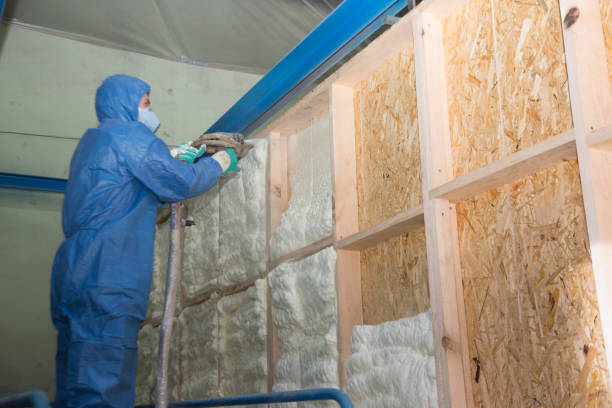 Best Insulation Repair Services  in Odessa, MO